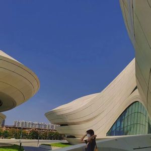 老婆把腿趴开给我看
